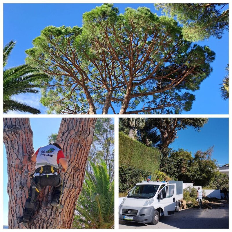 RG Paysage - Professional Gardening and Landscaping Services