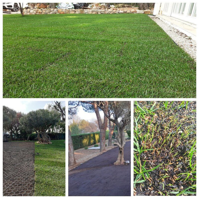 RG Paysage - lawn creation and restoration on the French Riviera