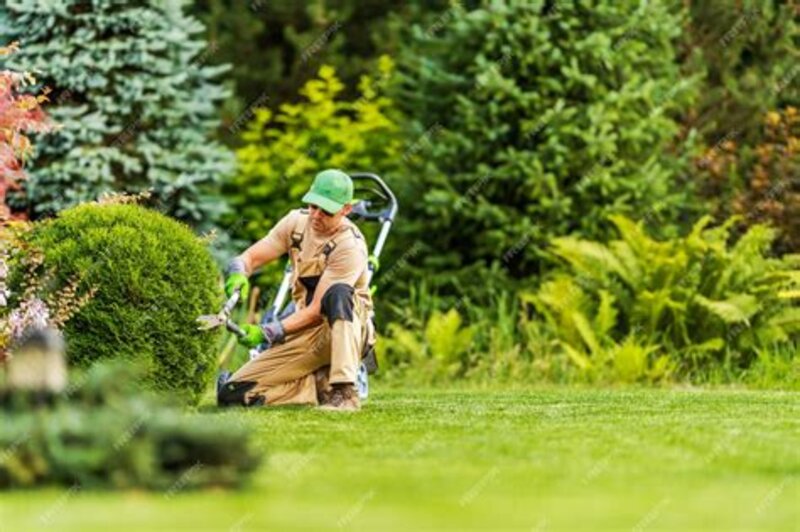 GARDENER - full care for garden and plot on the French Riviera