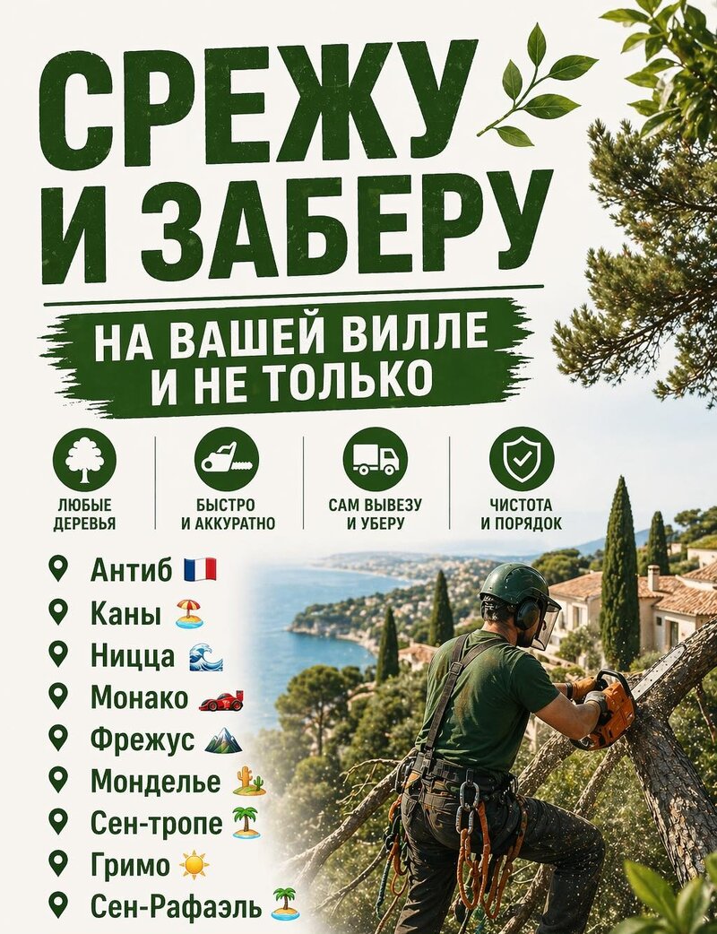 Cut and remove any trees on your villa - quickly and neatly