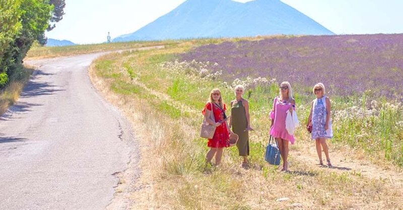 🌿 Discover the magic of Provence in a new way!