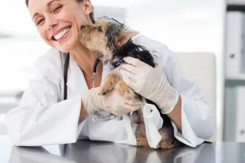 Veterinarian and Zoopsychologist - Consultations on the Health and Behavior of Pets 🐾