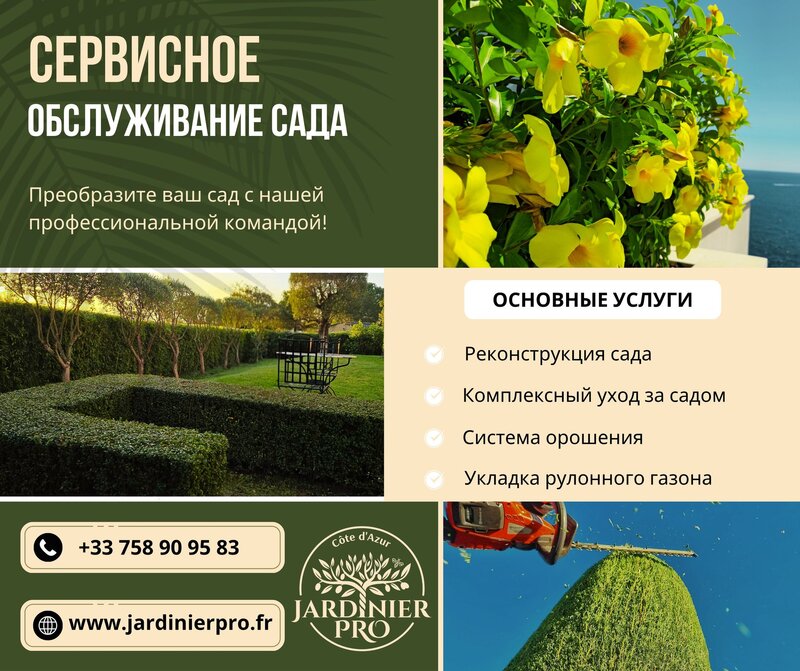 Garden Service on the French Riviera – JARDINIER PRO