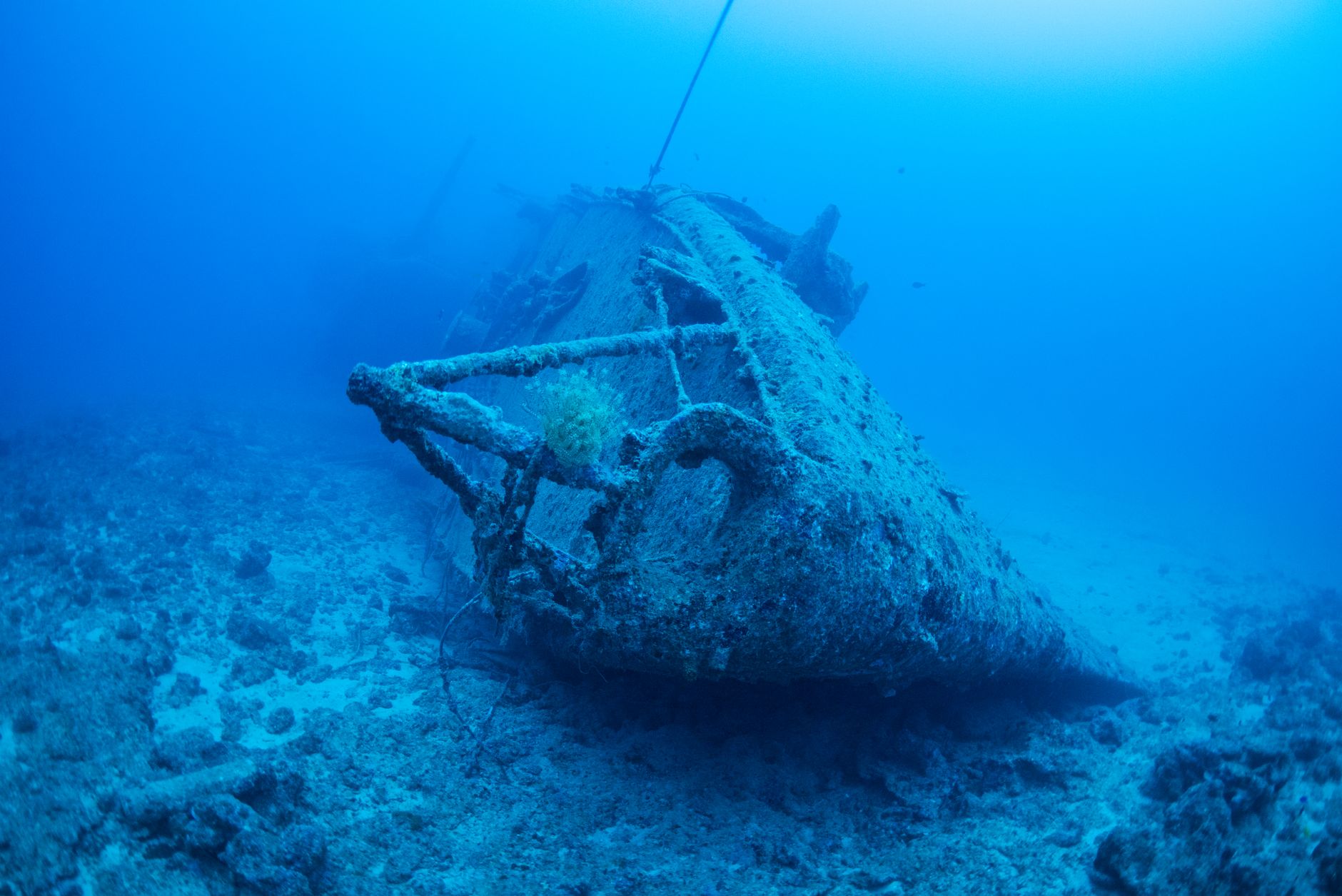 Обросший обломок затонувшего судна на морском дне