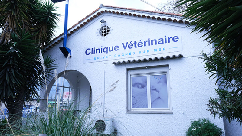 Ветеринарная клиника Univet Saint-Jean в Кань-сюр-Мер