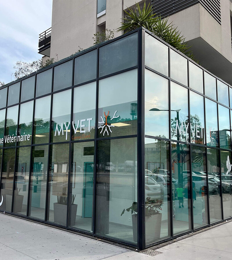 Ветеринарная клиника MyVet Cannes Ouest в Каннах