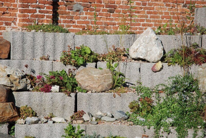 Landscaping, Demolition & Construction on the French Riviera
