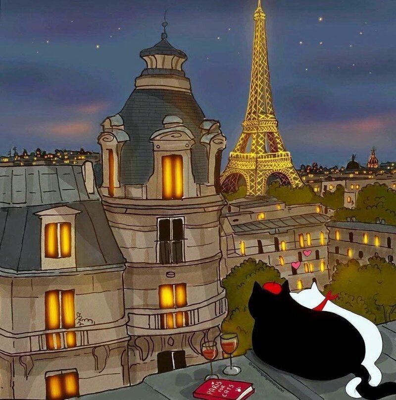 Изучайте французский онлайн с опытным экзаменатором DELF